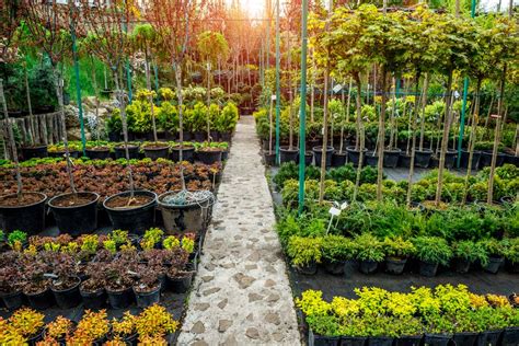 Landscape Nursery Products Flowers Plants Trees Bushes Short Hills Nj Landscape Nursery Products Flowers Plants Trees Bushes Short Hills Nj