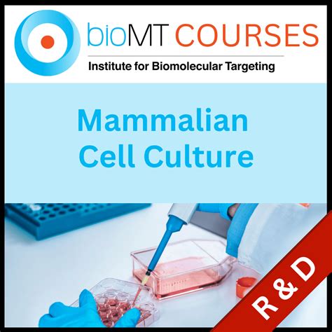 Mammalian Cell Research Application Boosts Screening Success By 25%