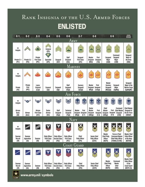 Military Ranks And Insignia Charts Military Ranks And Insignia Charts
