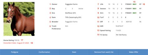 Net A Bear Horse Profile Bloodhorse