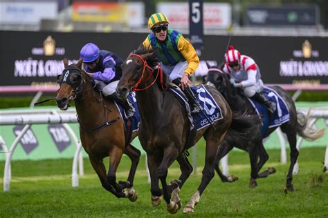 Newcastle Stakes Past Winners Results Australia Racing And Sports Newcastle Stakes Past Winners Results Australia Racing And Sports