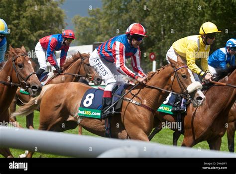 Newmarket Racecourse Fotos Und Bildmaterial In Hoher Aufl Sung Alamy