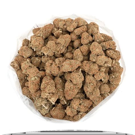 Orange Crush Weed Orange Crush Weed