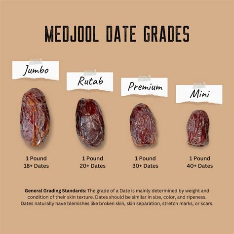 Organic Medjool Cooking Dates
