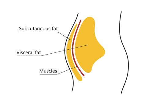 Debunking Myth: Peptide For Subcutaneous Fat Doesn't Work Alone
