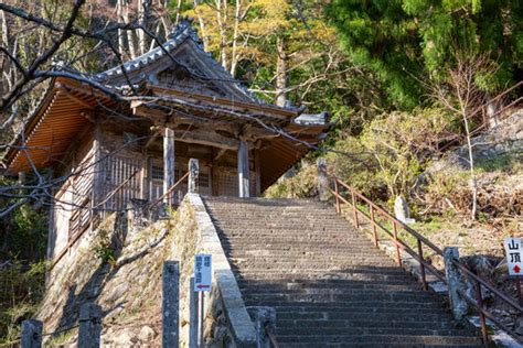 Pinto Horse Images Browse 15 763 Stock Photos Vectors And Video Adobe Stock Pinto Horse Images Browse 15 763 Stock Photos Vectors And Video Adobe Stock