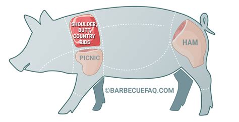 Pork Shoulder Butt Vs Loin The Differences Explained Barbecue Faq