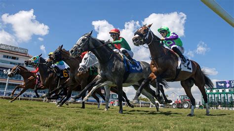 Predictions For The 10 Best Horse Races On Thursday December 18Th Predictions For The 10 Best Horse Races On Thursday December 18Th