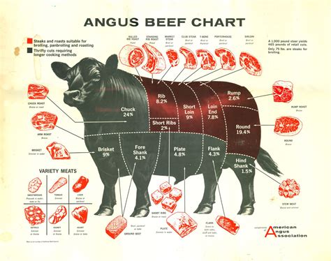 Retail Cut Chart Beef Cuts Chart Beef Cuts Meat Cuts Chart