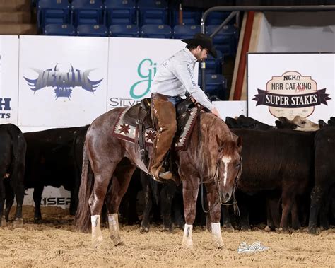 Reyzin The Cash Metallistic By Metallic Cat 512 712 6666 Incentive Breeder S Invitational Ncha Stallion Foal Reyzin The Cash Metallistic By Metallic Cat 512 712 6666 Incentive Breeder S Invitational Ncha Stallion Foal