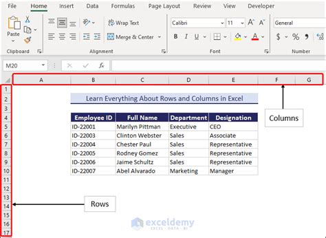 Rows And Columns In Excel All You Need To Know Exceldemy