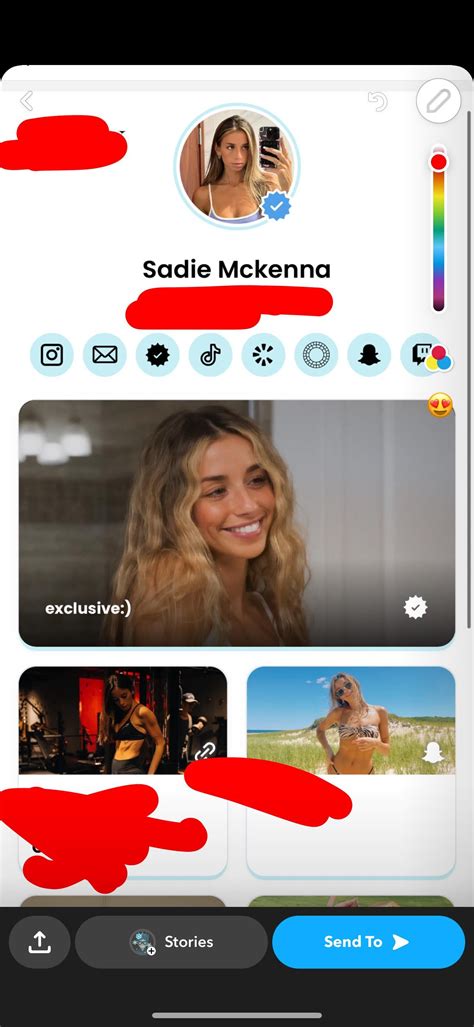 Sadie's Secret: 5 Leaked Fanfic Facts