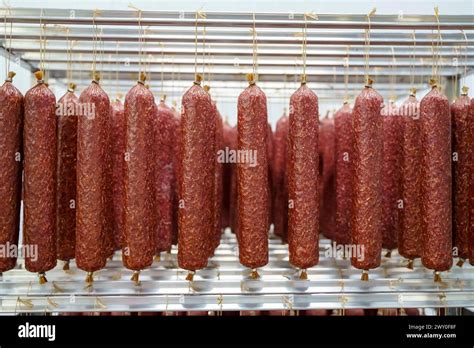 Salami Sausage Production At A Meat Factory Pork And Beef Sausage