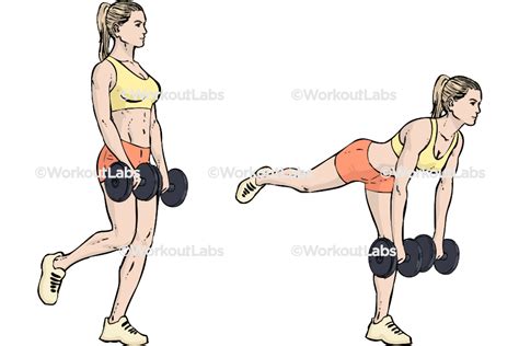 Single One Straight Leg Dumbbell Deadlift Workoutlabs Exercise Guide