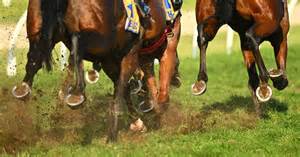 Stewards Sacked After Investigation Found They Placed Hundreds Of Bets