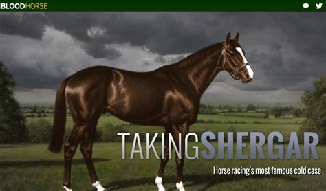 Taking Shergar Horse Racing S Most Famous Cold Case Wins National Award Equimanagement Taking Shergar Horse Racing S Most Famous Cold Case Wins National Award Equimanagement