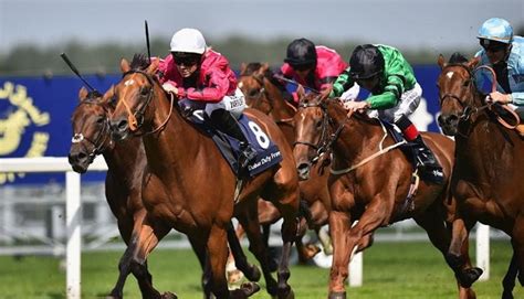 Talking Horses Back Ireland To Lead The Way In Shergar Cup Team Battle Horse Racing Tips The Guardian Talking Horses Back Ireland To Lead The Way In Shergar Cup Team Battle Horse Racing Tips The Guardian