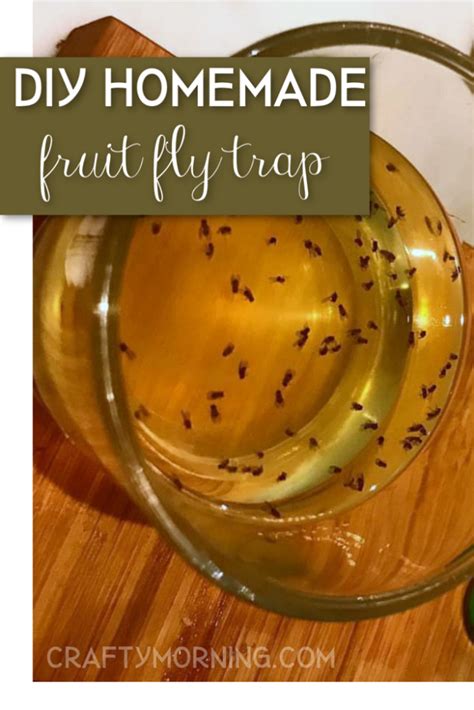 The Best Easy Homemade Diy Fruit Fly Trap Coley Cooks The Best Easy Homemade Diy Fruit Fly Trap Coley Cooks