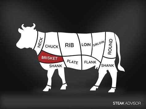 The Primal Cuts Of Beef Brisket The Primal Cuts Of Beef Brisket