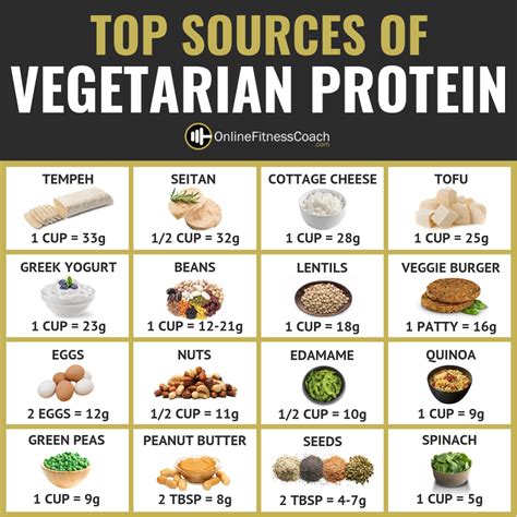 Top Sources Of Vegetarian Protein Online Fitness Coach Top Sources Of Vegetarian Protein Online Fitness Coach