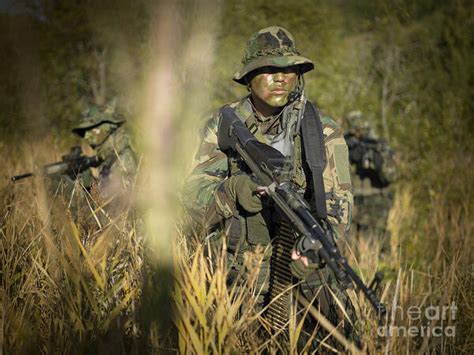 U S Navy Seals Walk Through Tall Grass Poster By Tom Weber Fine Art America U S Navy Seals Walk Through Tall Grass Poster By Tom Weber Fine Art America
