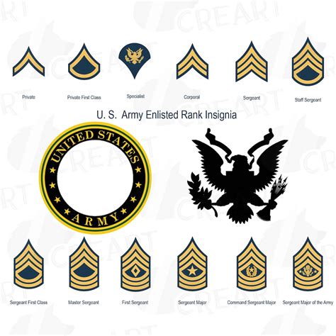 Us Army Enlisted Rank Insignia Collection Military Frame Clip Art Pack United States Armed Forces Clip Art Vector Png Svg Eps Files Etsy Us Army Enlisted Rank Insignia Collection Military Frame Clip Art Pack United States Armed Forces Clip Art Vector Png Svg Eps Files Etsy