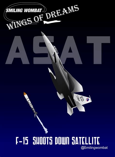 Usaf F 15 Smiling Wombat Honors The Usaf Shooting Down Satellite