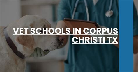Vet Schools In Corpus Christi Tx Navle Prep Vet Schools In Corpus Christi Tx Navle Prep