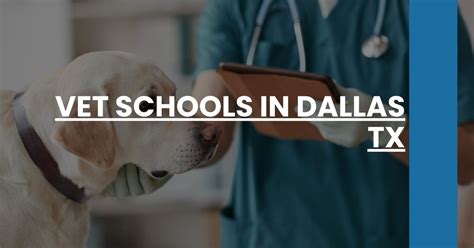Vet Schools In Dallas Tx Navle Prep Vet Schools In Dallas Tx Navle Prep