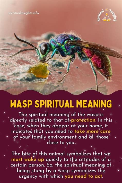 Wasp Spiritual Meaning