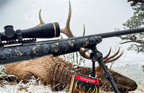 What S The Best Deer Rifle For Elk Hunting