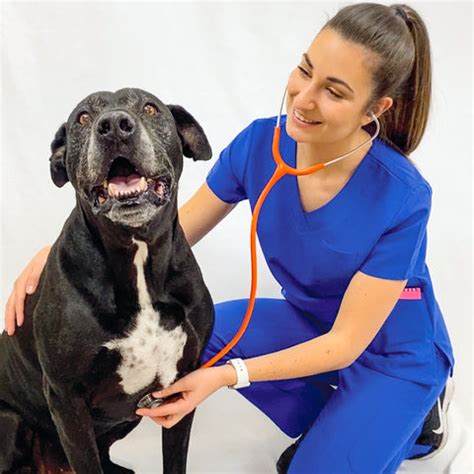 What Veterinarians Look For In Uniforms Blog Fit Right Medical Scrubs