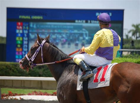 Where Can You Watch Australian Horse Racing Replays Where Can You Watch Australian Horse Racing Replays