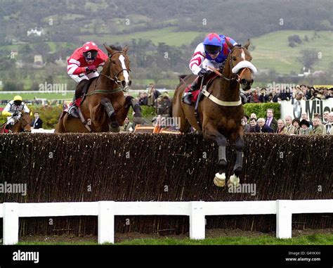 Winner Of The Tote Cheltenham Gold Cup Looks Like Trouble Ridden By Richard Johnson Clears The Last Fence Ahead Of Florida Pearl And Paul Carberry During The Final Day Of The Cheltenham Winner Of The Tote Cheltenham Gold Cup Looks Like Trouble Ridden By Richard Johnson Clears The Last Fence Ahead Of Florida Pearl And Paul Carberry During The Final Day Of The Cheltenham
